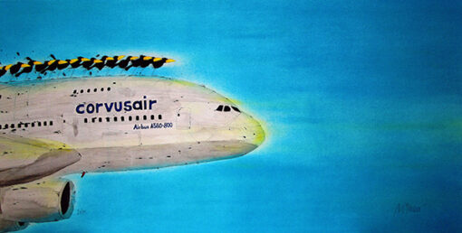 Corvus air