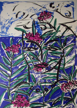 Mallorco Oleander